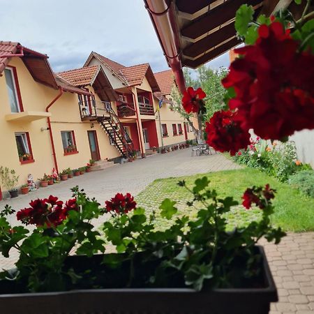 Vila Vladut Zărneşti Bagian luar foto