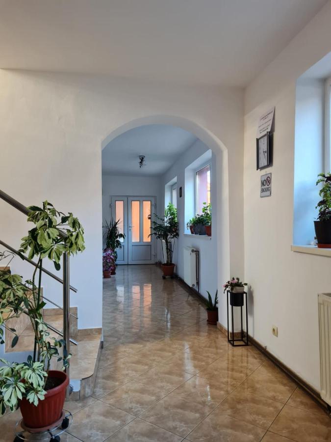 Vila Vladut Zărneşti Bagian luar foto