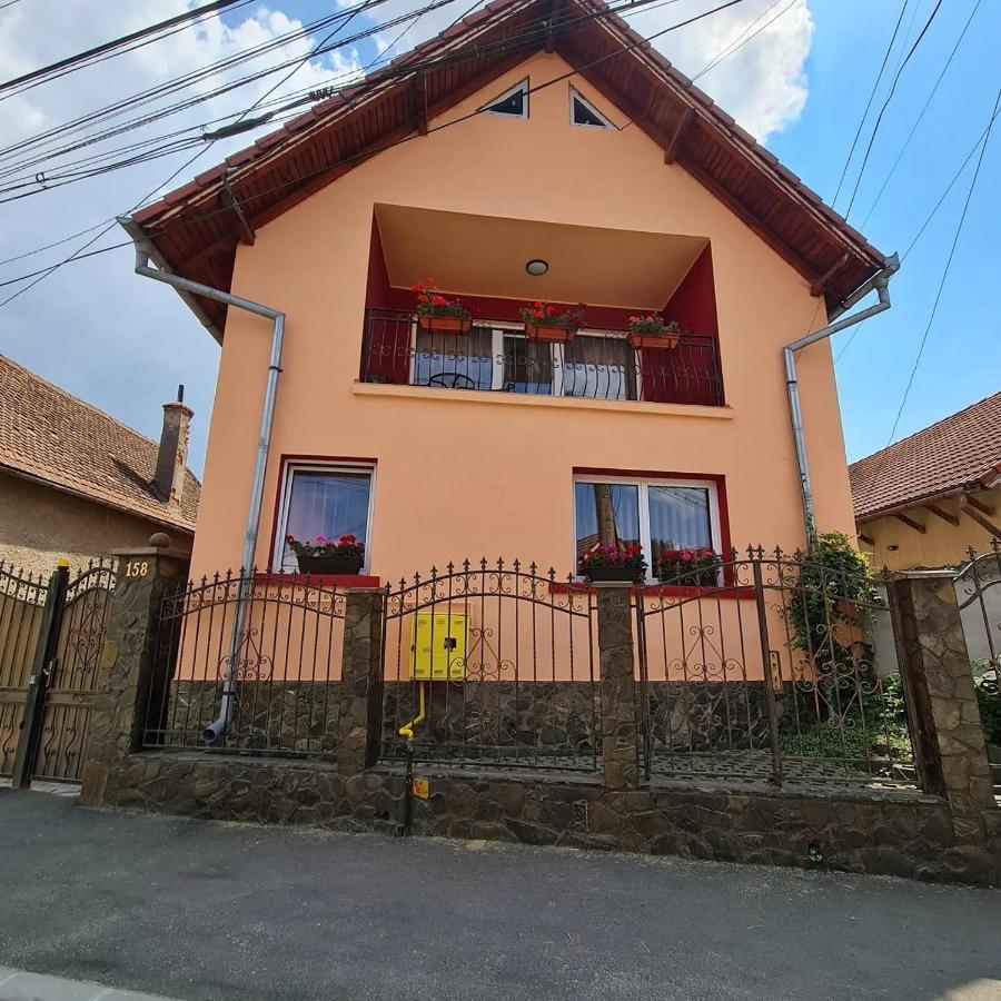 Vila Vladut Zărneşti Bagian luar foto