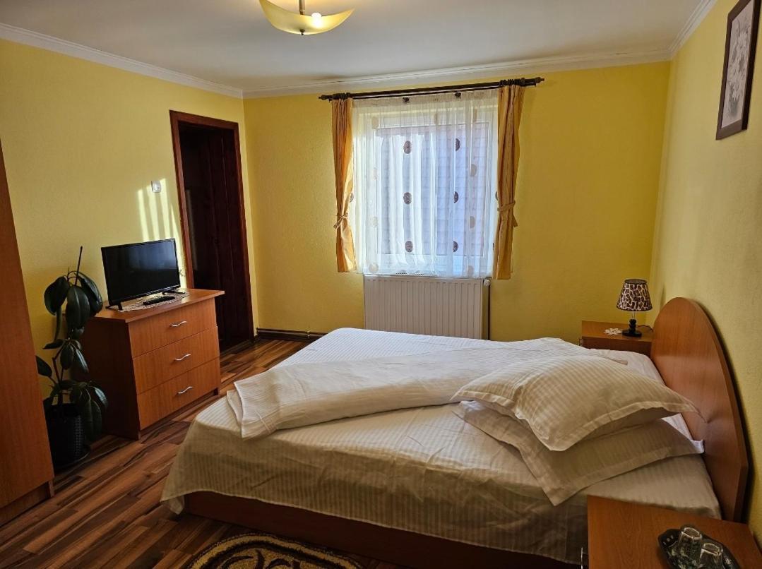 Vila Vladut Zărneşti Bagian luar foto