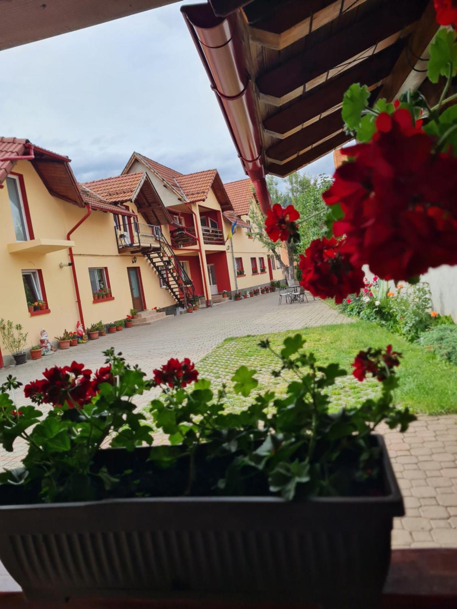 Vila Vladut Zărneşti Bagian luar foto